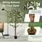 Artificial Ficus Tree Tall Faux Indoor Plant With 1008 Leaves Nursery Pot And Dried Moss